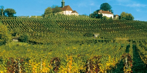 Ortenauer Weinpfad