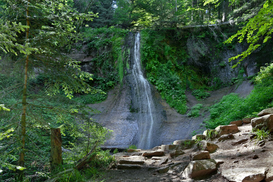 Sankenbach Wasserfall Baiersbronn 