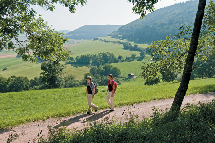 Die Natur rund um Donaueschingen ist abwechslungsreich, mit malerischen Winkeln und imposanten Aussichten. Hier gilt es nicht nur die Hochebene der Südbaar im Naturpark Südschwarzwald zu entdecken, hier lockt auch die junge Donau zu Tagesausflügen und Mehrtageswanderungen in einzigartiger Natur.