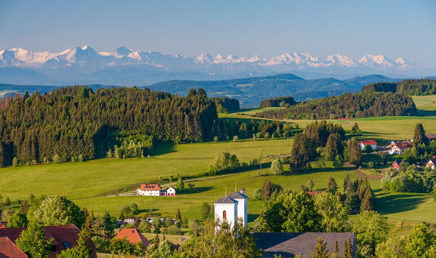 Blick über Herrischried mit Alpenpanorama