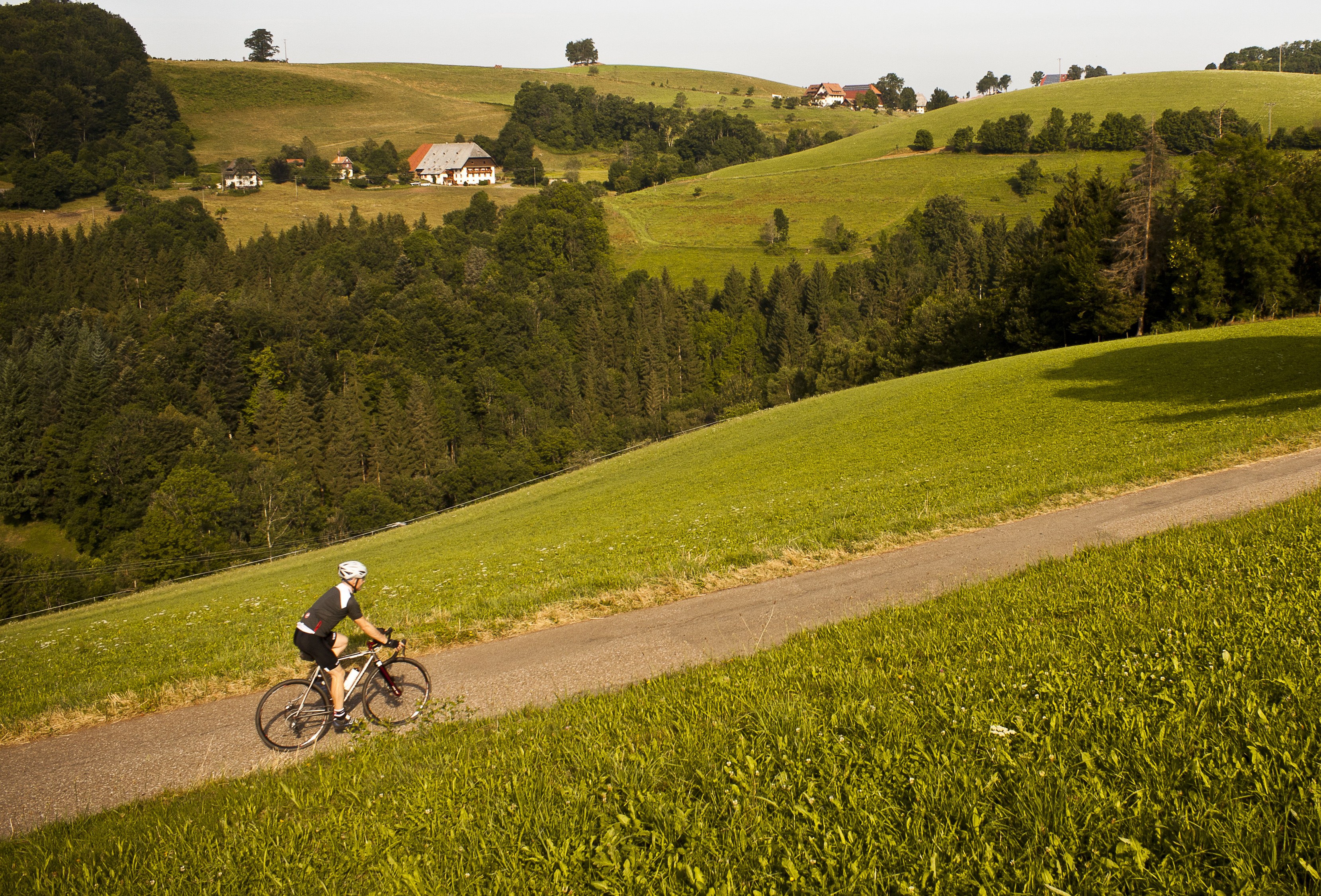 Rennradfahrer im Hochschwarzwald