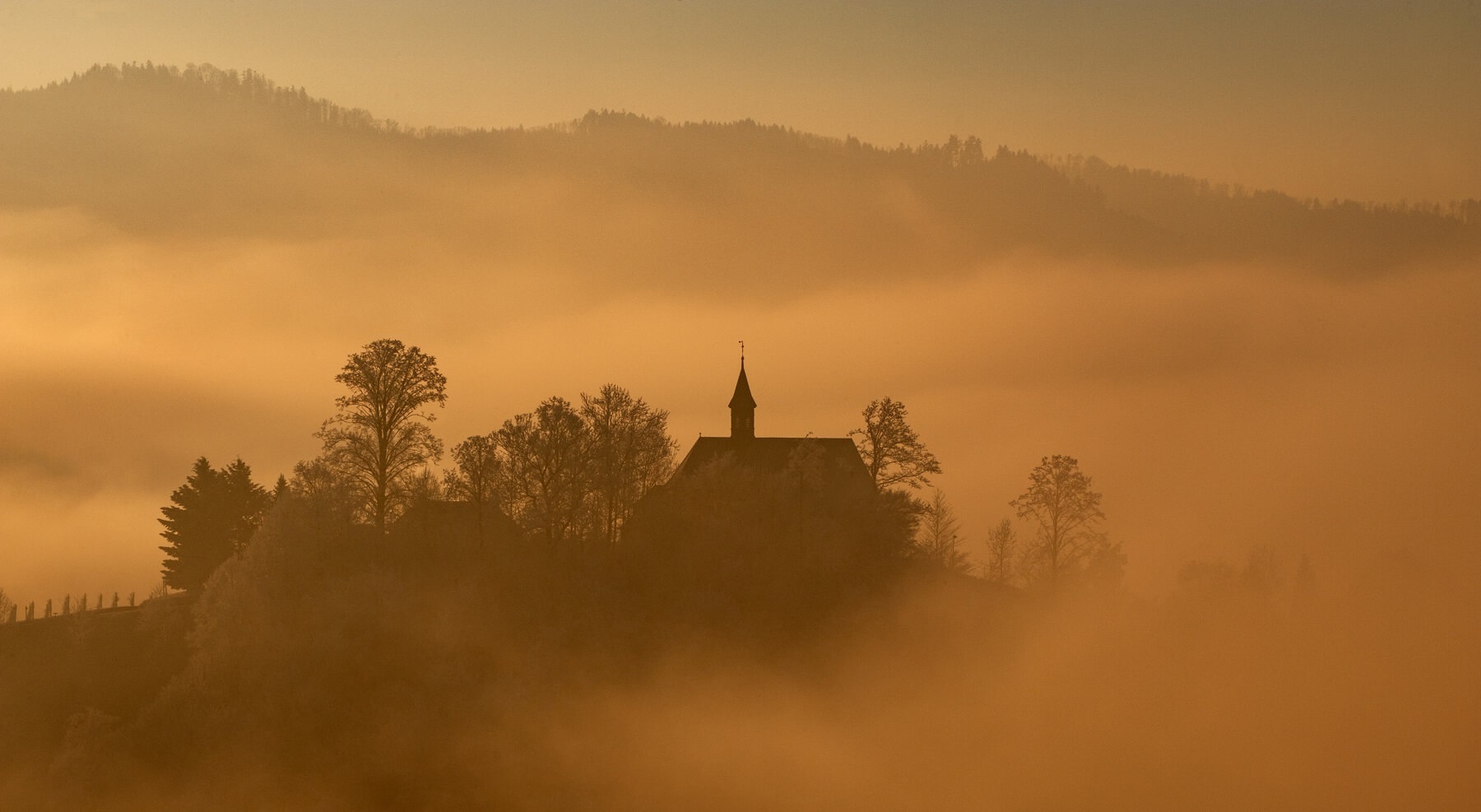Bergle im Nebel Sonnenaufgang Gengenbach 