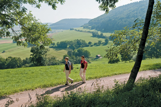 Wandern Naturpark Südschwarzwald Donaueschingen