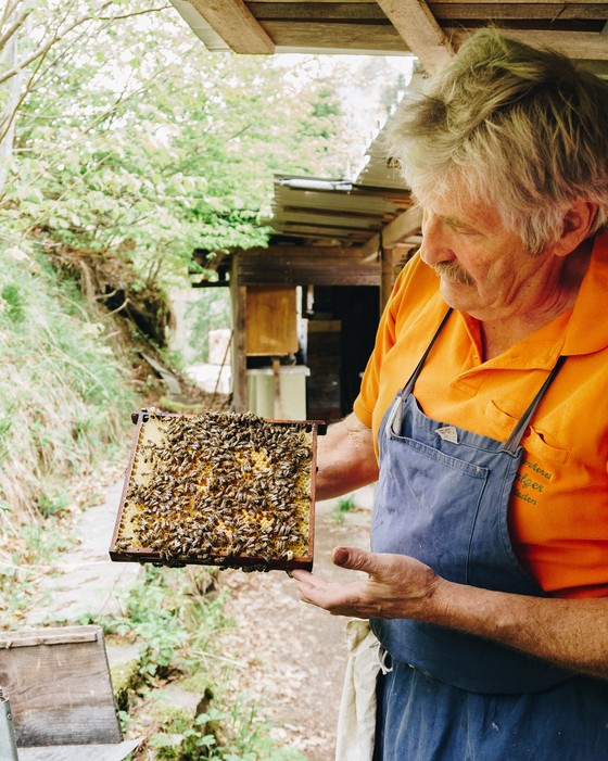 Imker Walter Falger und seine Bienen