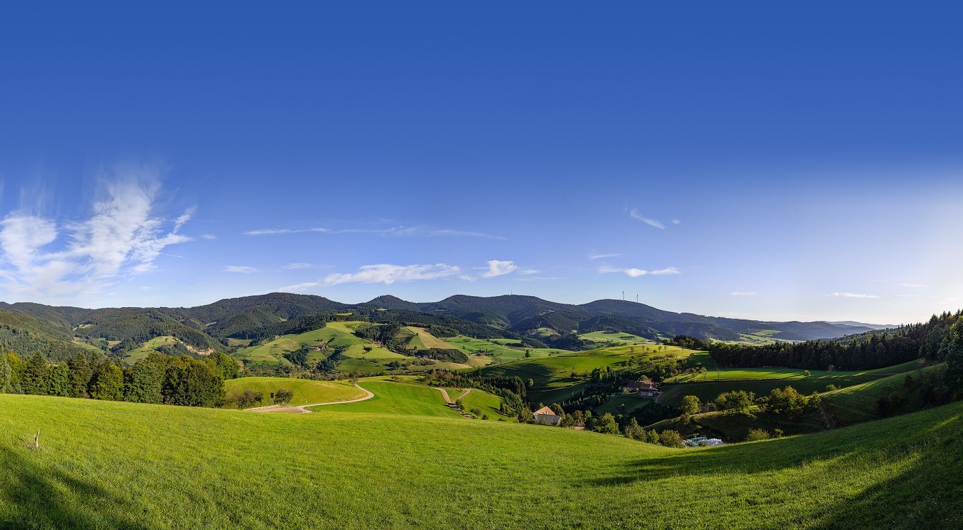 Panorama AugenBlick Oberharmersbach Hermersberg