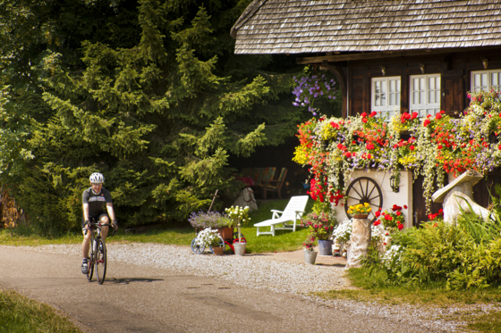 Rennradtouren im Hochschwarzwald